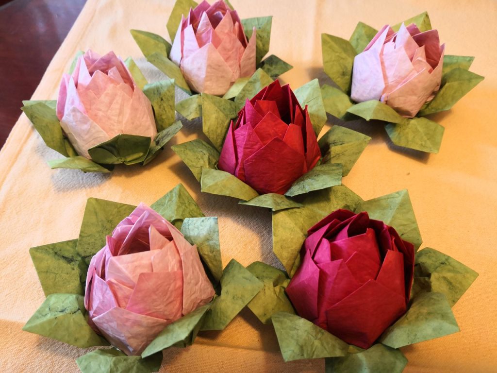 IMG 4054ad4fddfe726779293382d528214b V