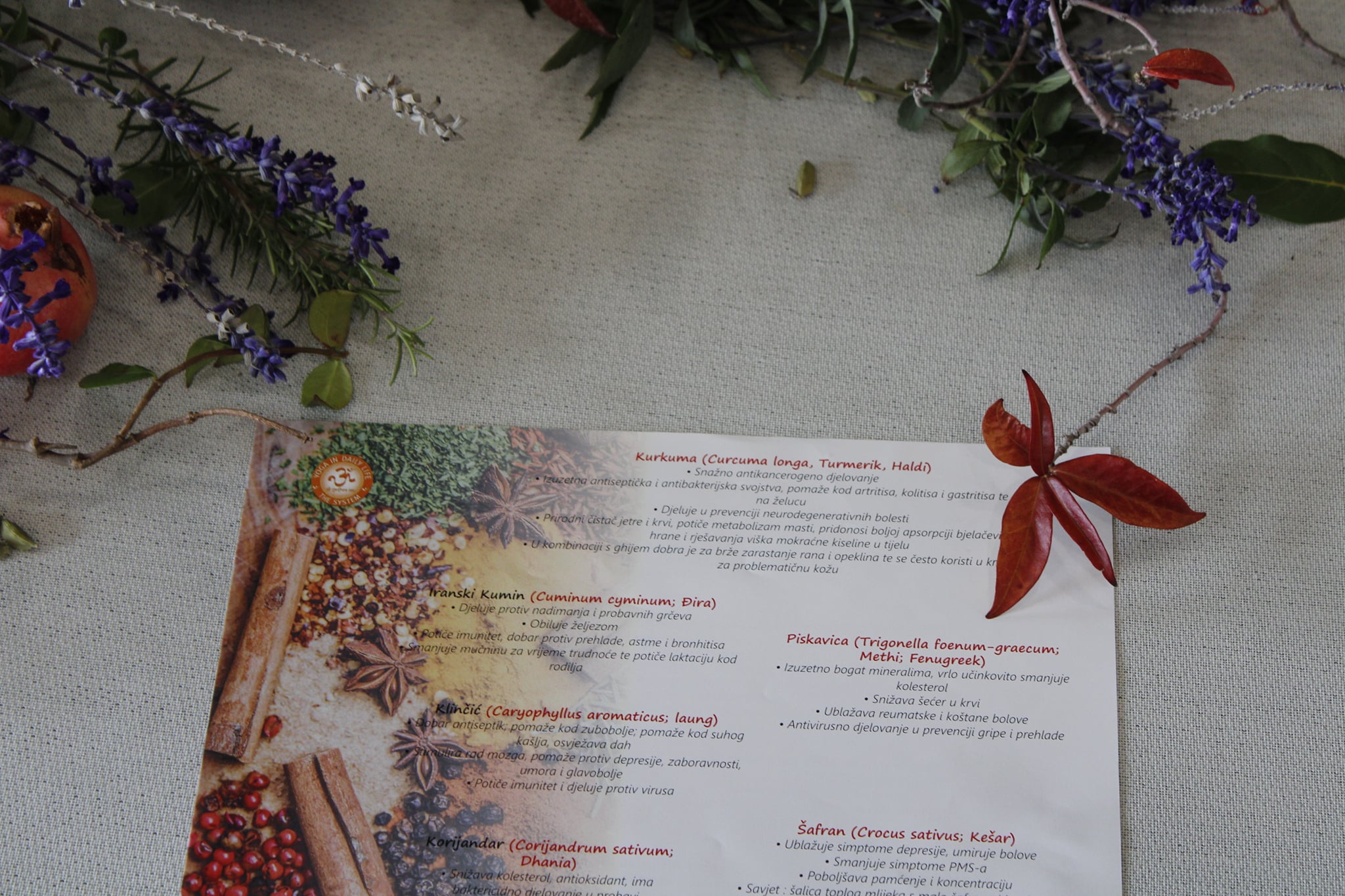 252711063 4950001065033786 6684149042890488105 n