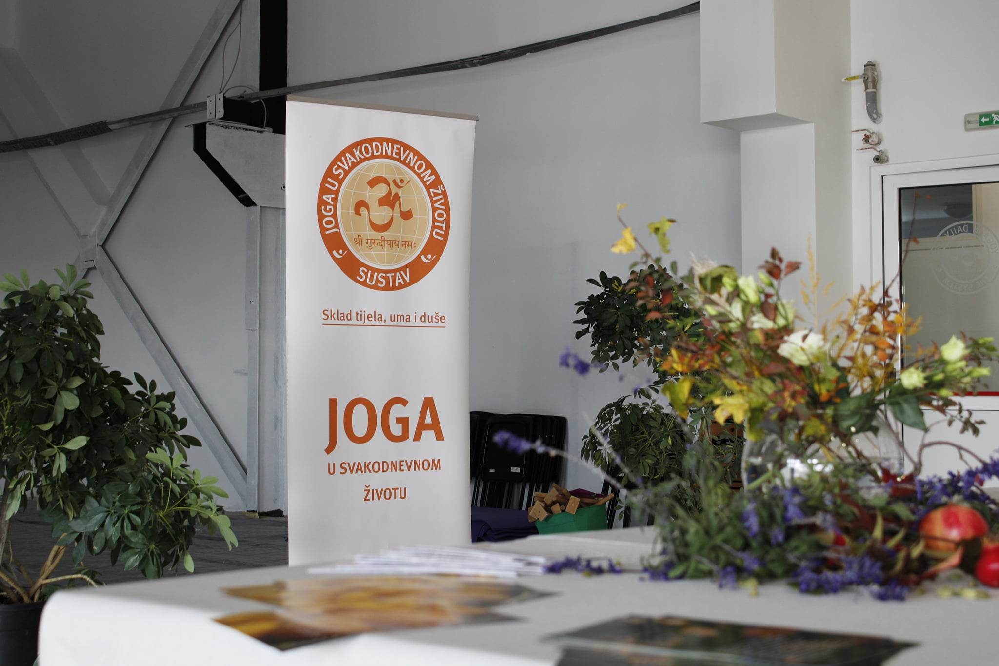 252809845 4950005748366651 2820635941076171731 n