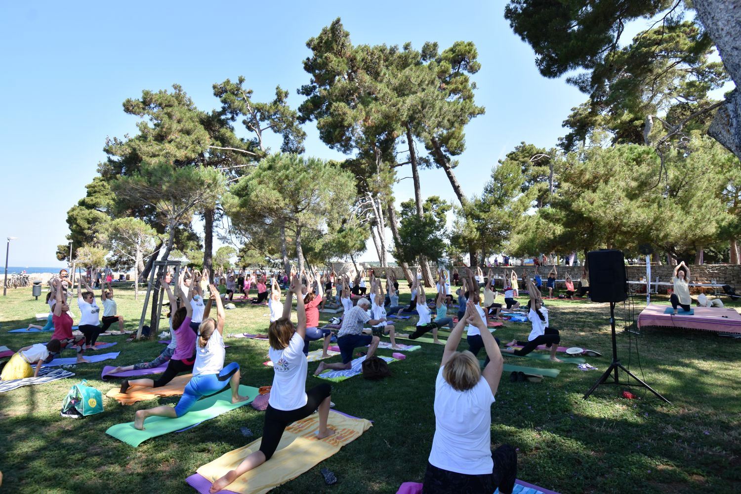 IDY 003