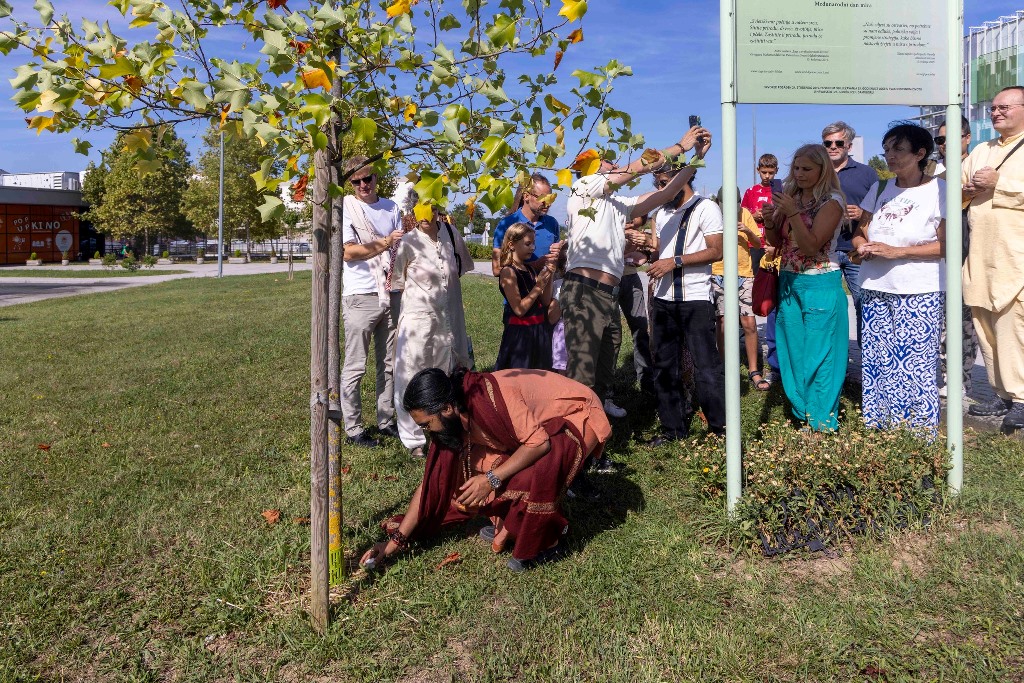 539099295 2576108992737037 4422752021805220975 n