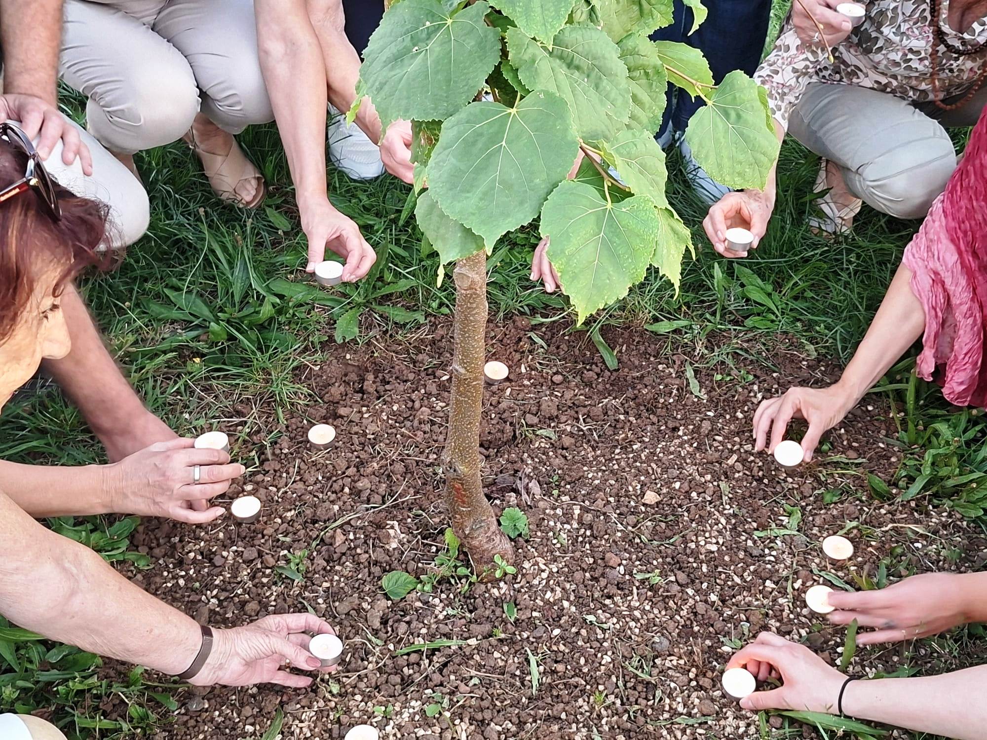 IMG 20250920 WA0007 1