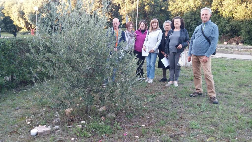 image 0 02 04 0fcb9fa146ef9122997897d29d9353c3de6c9eef19179b28b36cb5741913703d V