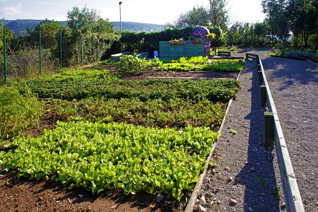 ECO garden